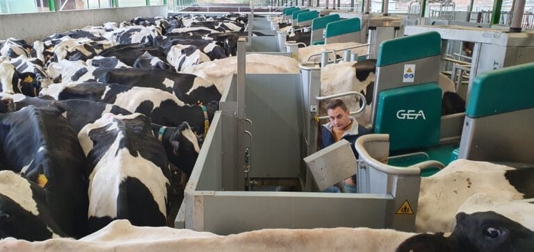 GEA R9600 MILKING ROBOT